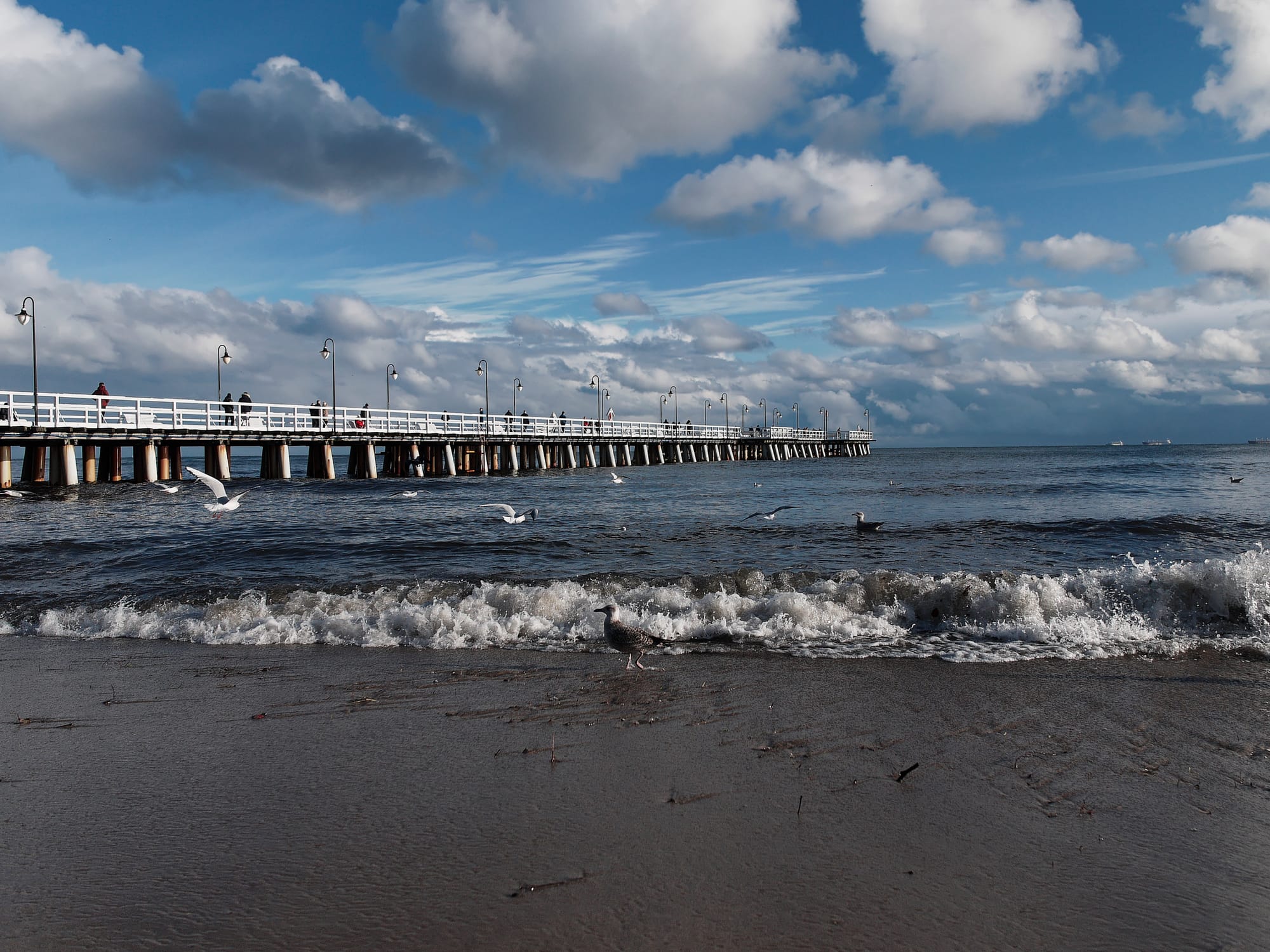 Zima 2023 - pierwszy śnieg