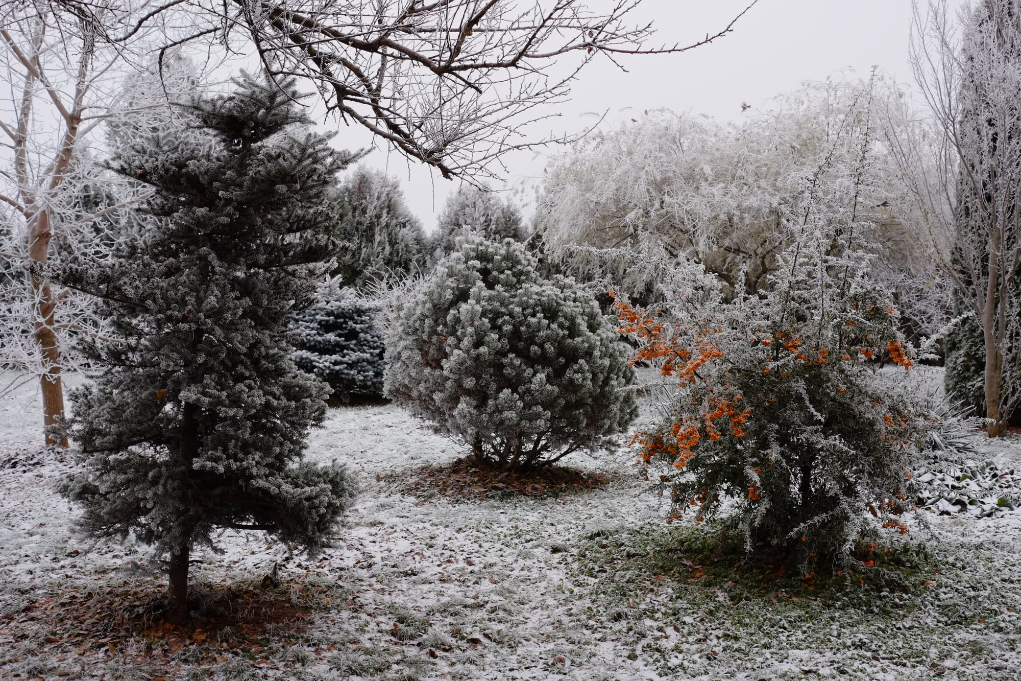 Jeden miesiąc, jeden aparat