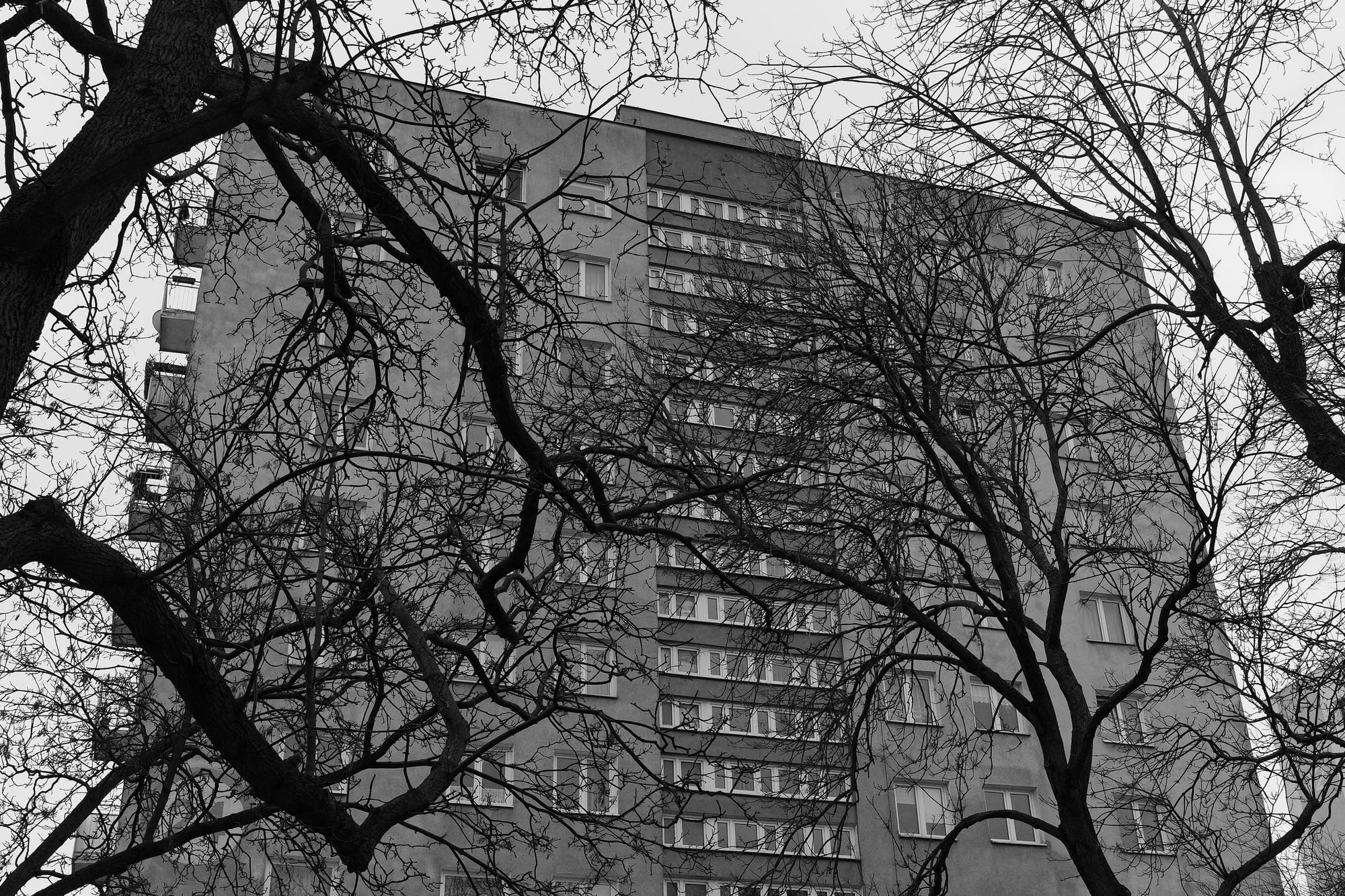 Lekcje angielskiego - dzień 2