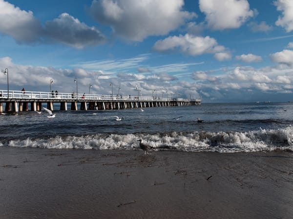 Zima 2023 - pierwszy śnieg