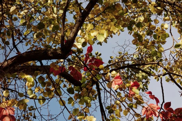 Więcej jesieni pls...